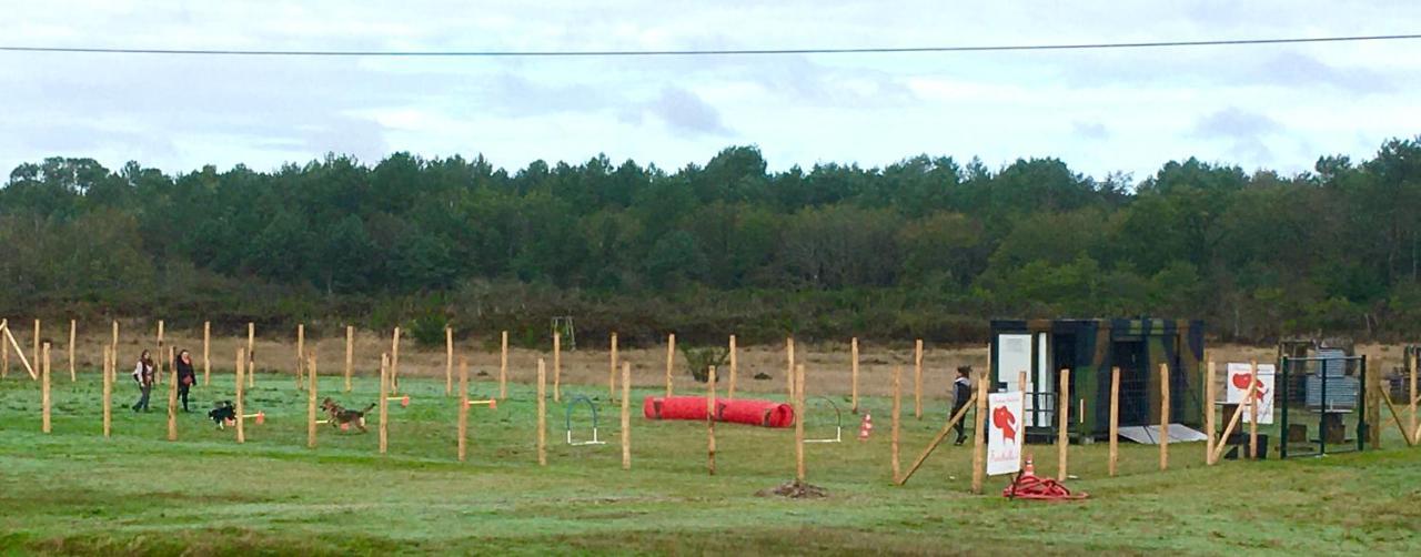 לינה וארוחת בוקר Saugirard Domaine Des Bois Argentes מראה חיצוני תמונה